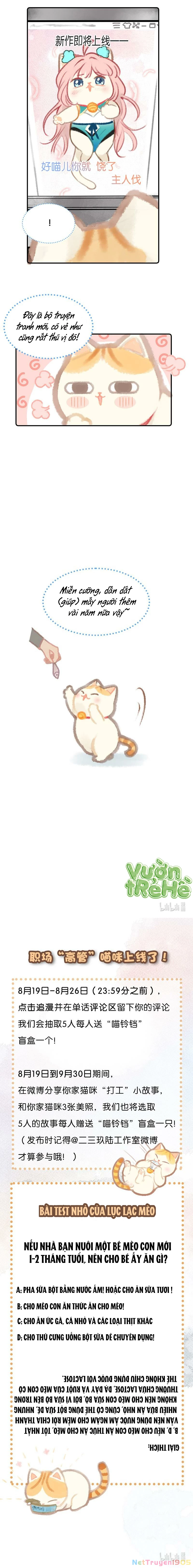 Lục Lạc Mèo Chapter 3 - 4