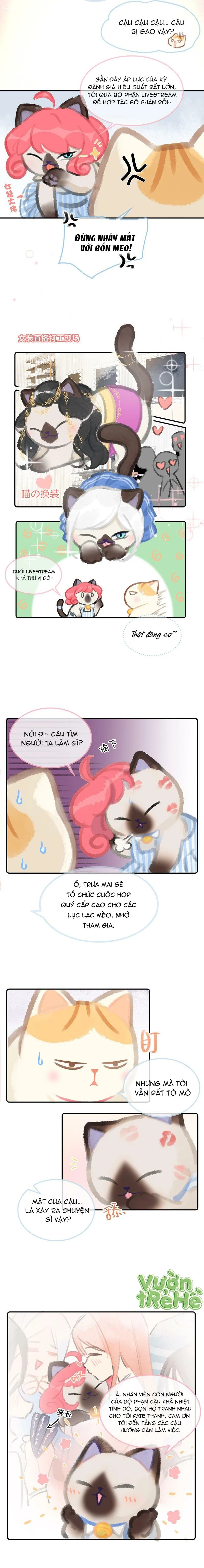 Lục Lạc Mèo Chapter 4 - 3