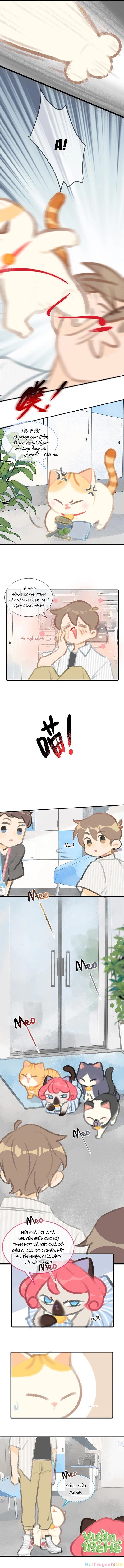 Lục Lạc Mèo Chapter 6 - 2