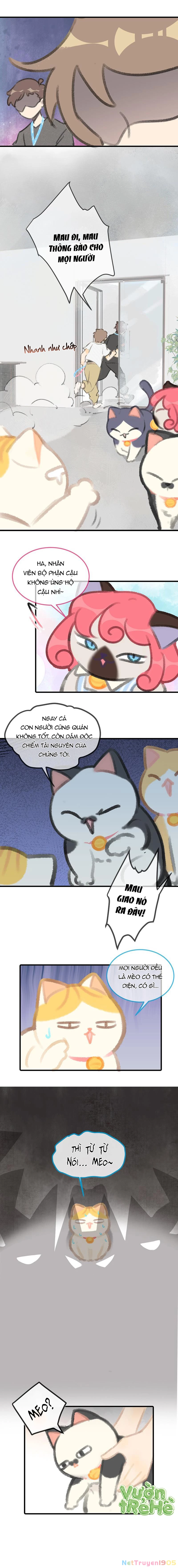 Lục Lạc Mèo Chapter 6 - 3