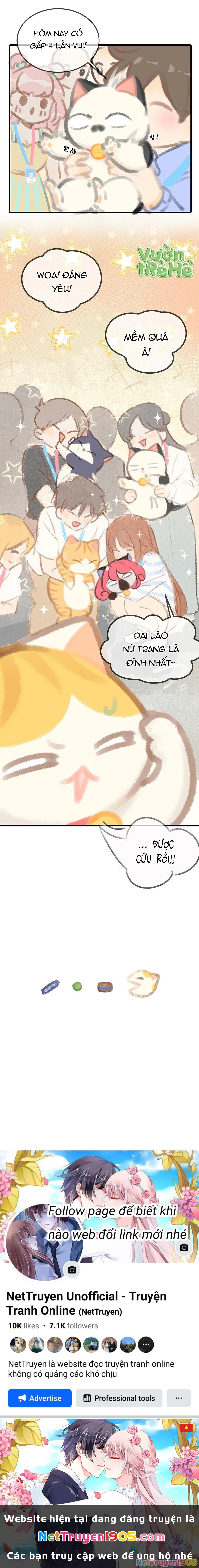 Lục Lạc Mèo Chapter 6 - 4