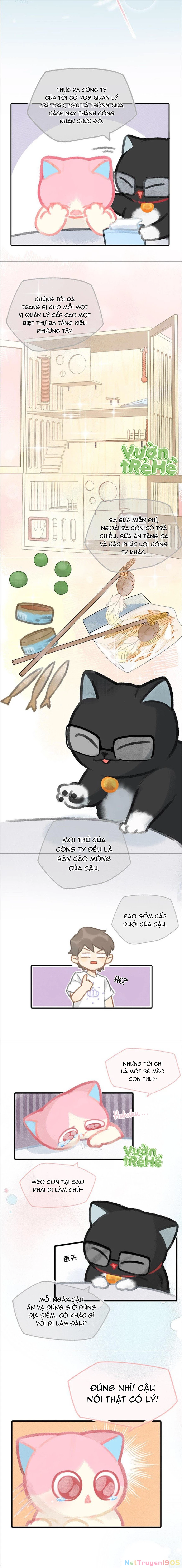 Lục Lạc Mèo Chapter 9 - 3