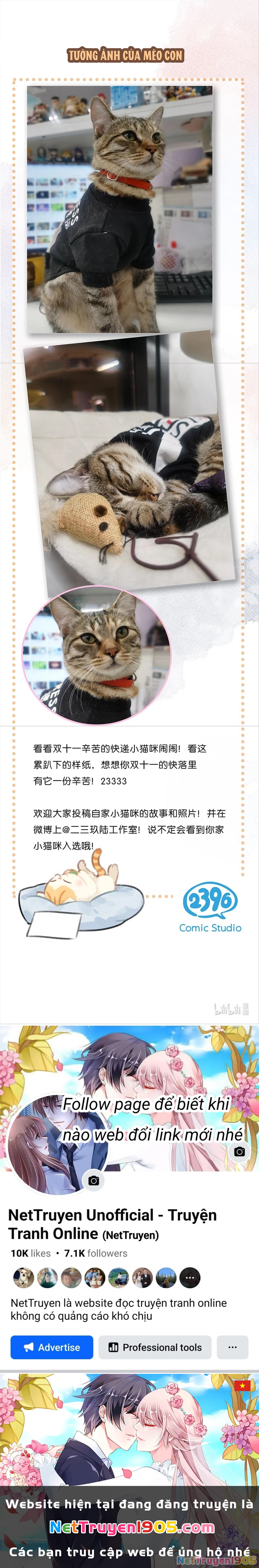 Lục Lạc Mèo Chapter 15 - 5
