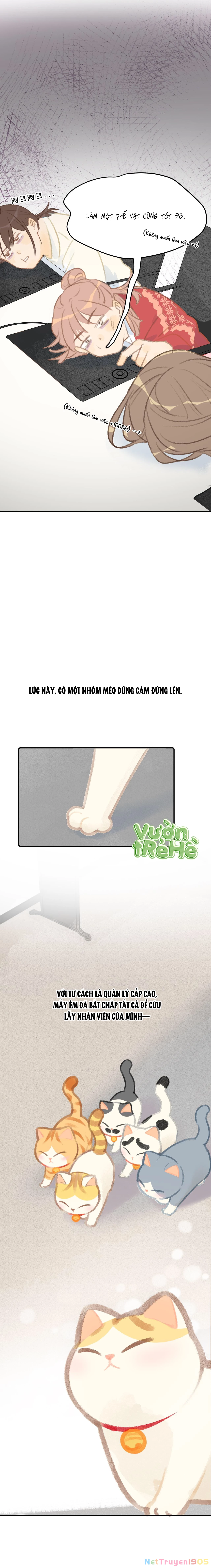Lục Lạc Mèo Chapter 16 - 2