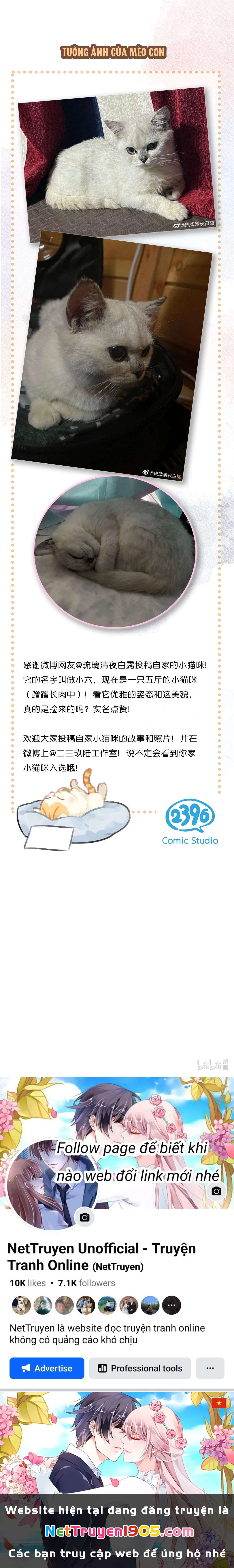 Lục Lạc Mèo Chapter 16 - 6