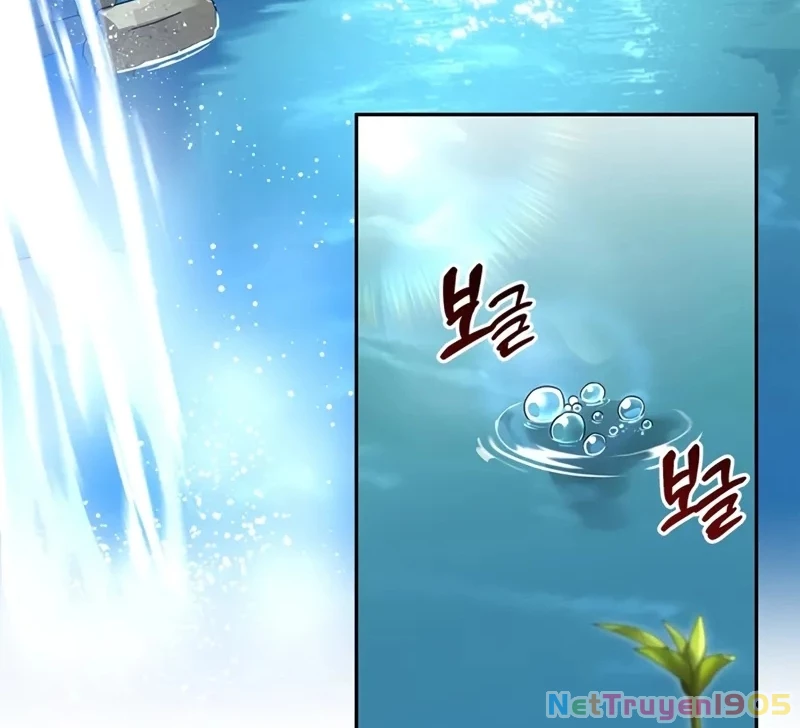 Healer Cấp S Chữa Trị Cho Quái Vật Chapter 5 - 135