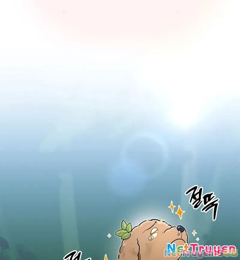 Healer Cấp S Chữa Trị Cho Quái Vật Chapter 5 - 171