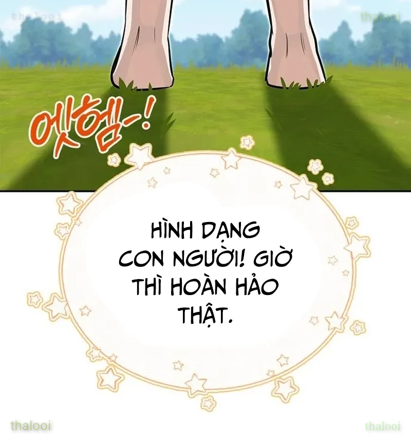 Healer Cấp S Chữa Trị Cho Quái Vật Chapter 6 - 62