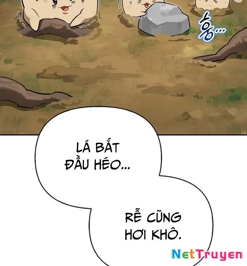 Healer Cấp S Chữa Trị Cho Quái Vật Chapter 6 - 66