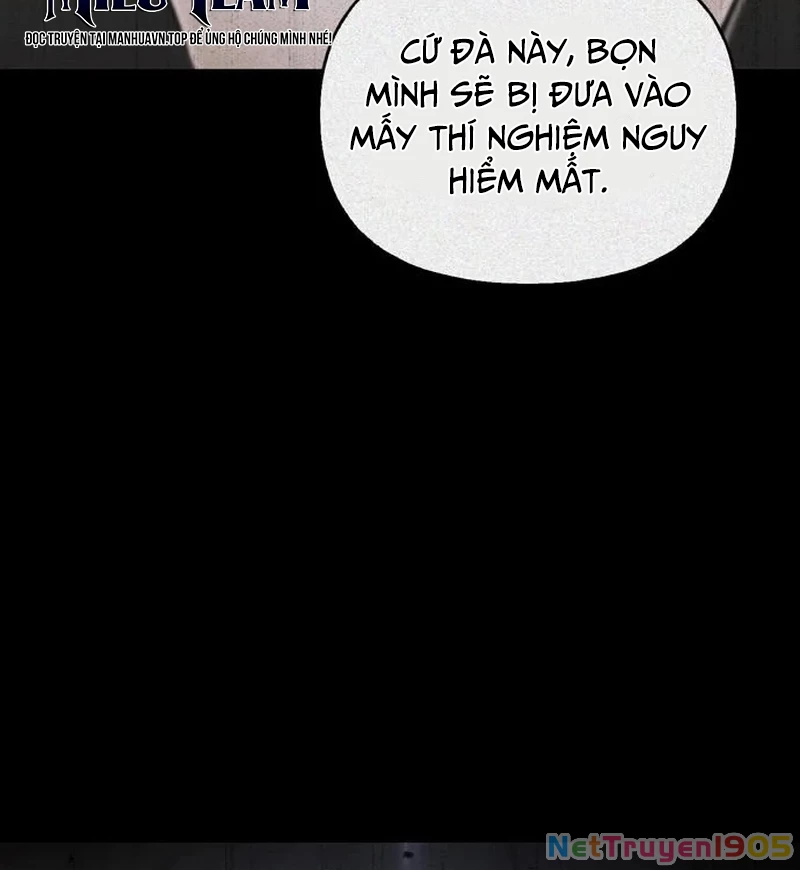 Healer Cấp S Chữa Trị Cho Quái Vật Chapter 6 - 184