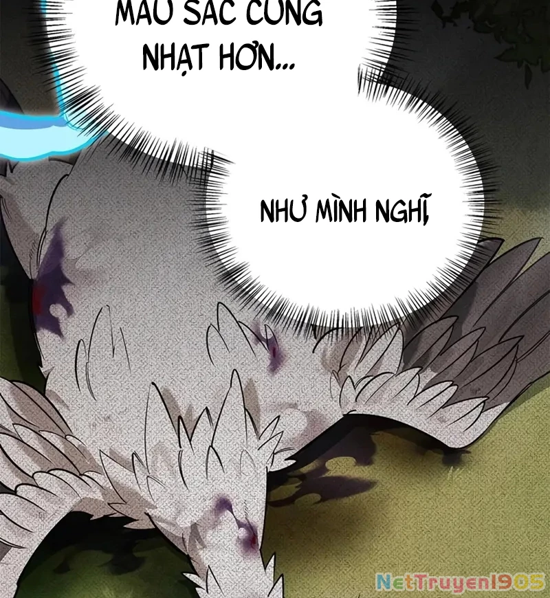 Healer Cấp S Chữa Trị Cho Quái Vật Chapter 7 - 13