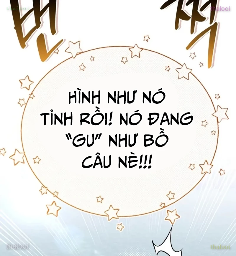 Healer Cấp S Chữa Trị Cho Quái Vật Chapter 7 - 44