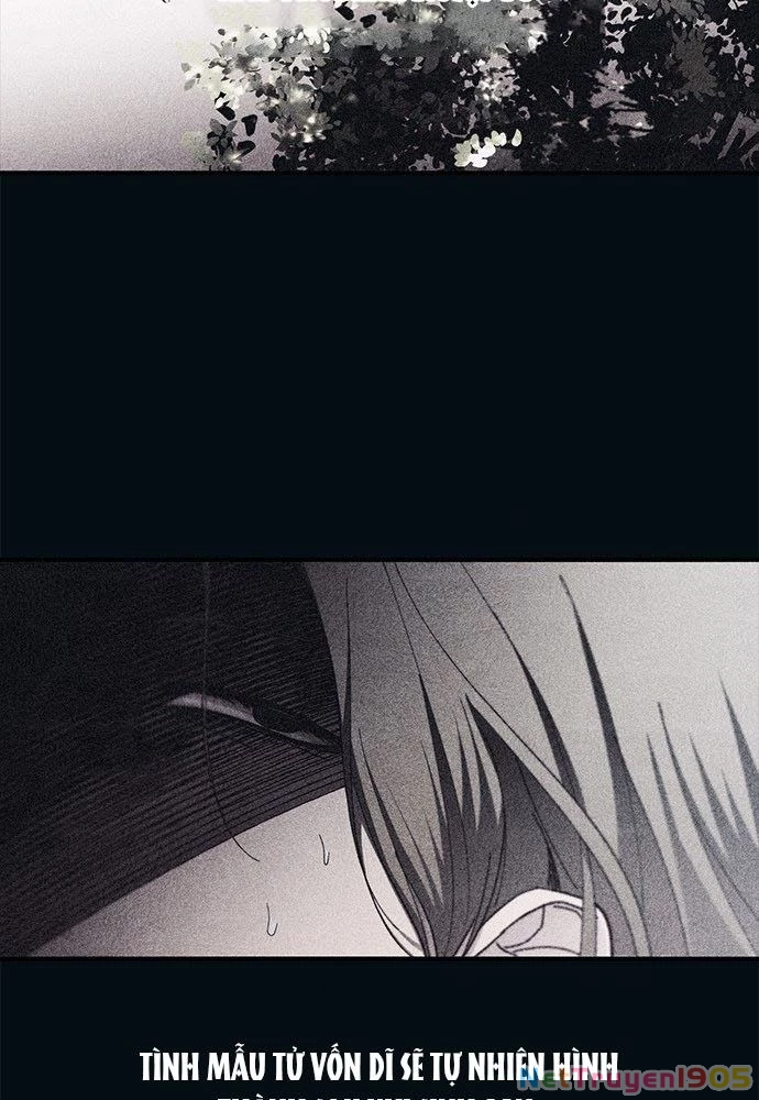 Sự ngây thơ của Yeon Woo Chapter 96 - 2