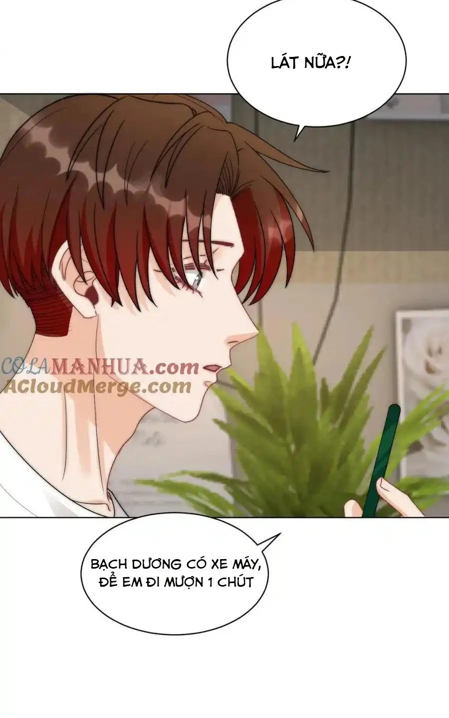 Ký Túc Xá Nam Phòng 303 Chapter 254 - 18