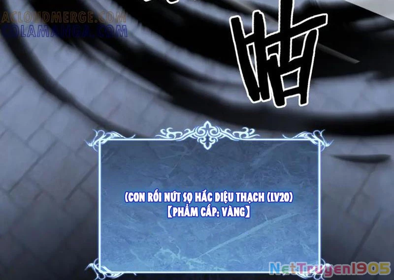 Thích Khách Thần Cấp, Ta Chính Là Bóng Đêm Chapter 44 - 37