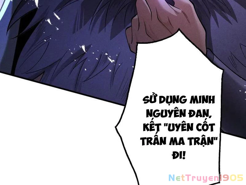 Gặp Mạnh Thì Mạnh, Ta Tu Vi Vô Thượng Hạn Chapter 64 - 24