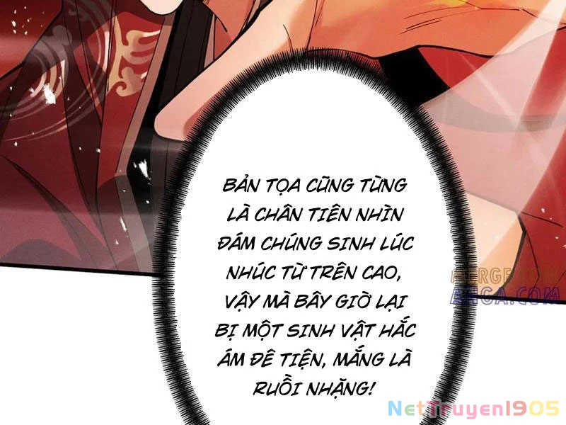 Gặp Mạnh Thì Mạnh, Ta Tu Vi Vô Thượng Hạn Chapter 64 - 127