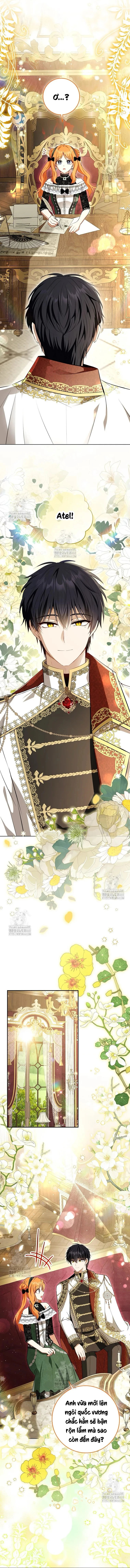 Sóc Con Tài Năng Chapter 118 - 11