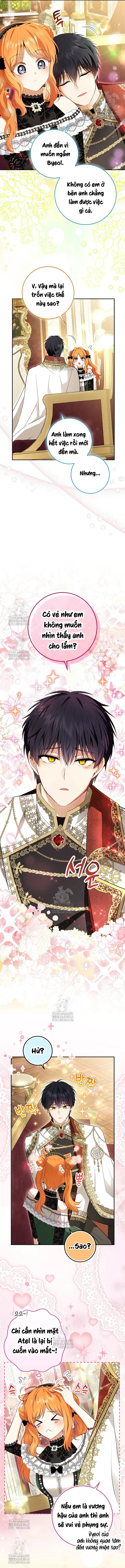 Sóc Con Tài Năng Chapter 118 - 12