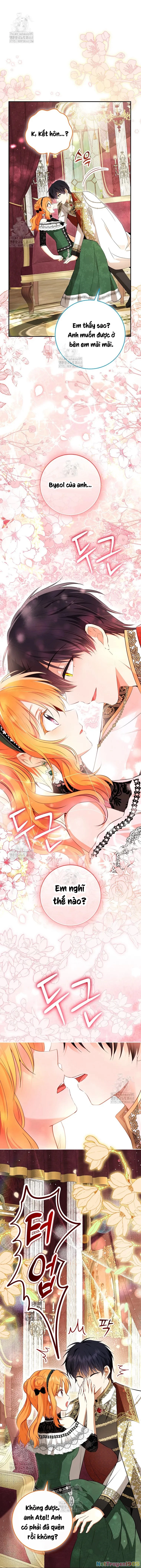 Sóc Con Tài Năng Chapter 118 - 14