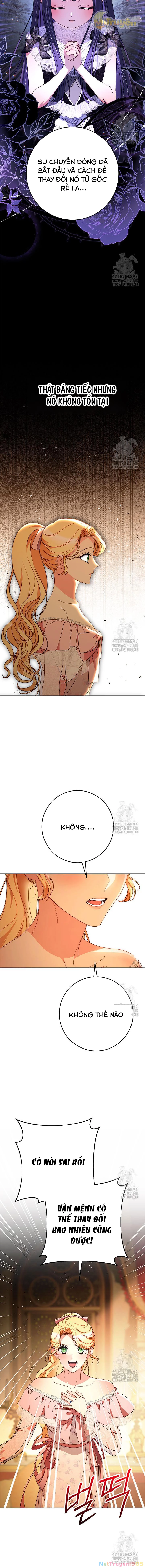 Tôi Đã Nuôi Dạy Em Gái Mình Một Cách Hoàn Hảo Chapter 65 - 19