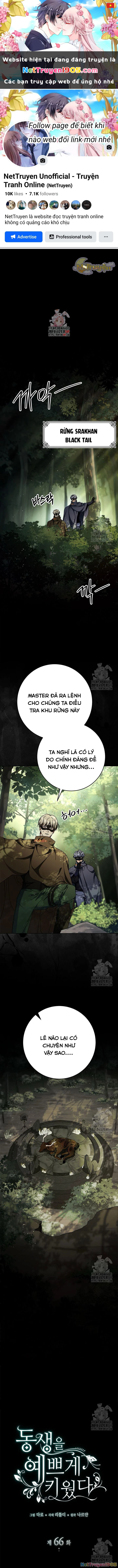 Tôi Đã Nuôi Dạy Em Gái Mình Một Cách Hoàn Hảo Chapter 66 - 1