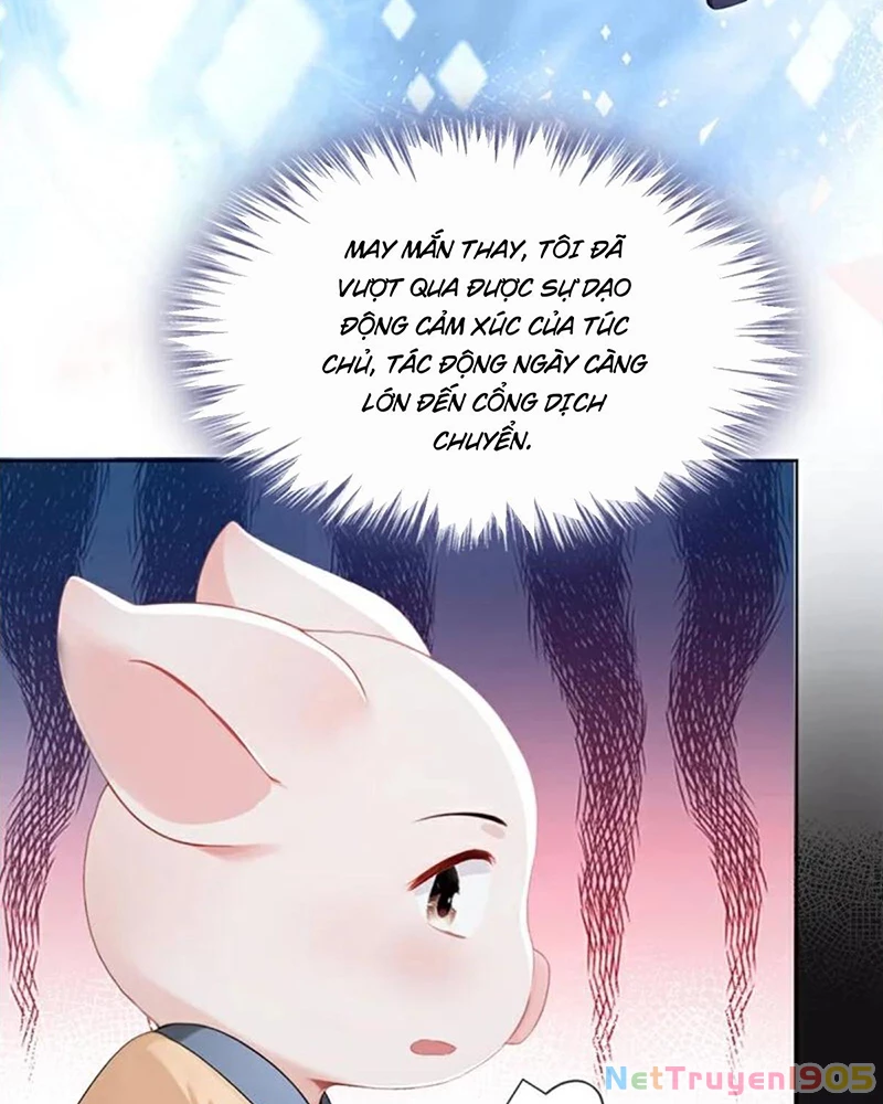 Hệ Thống Xuyên Nhanh: Ác Nam Không Dễ Chọc Chapter 144 - 21