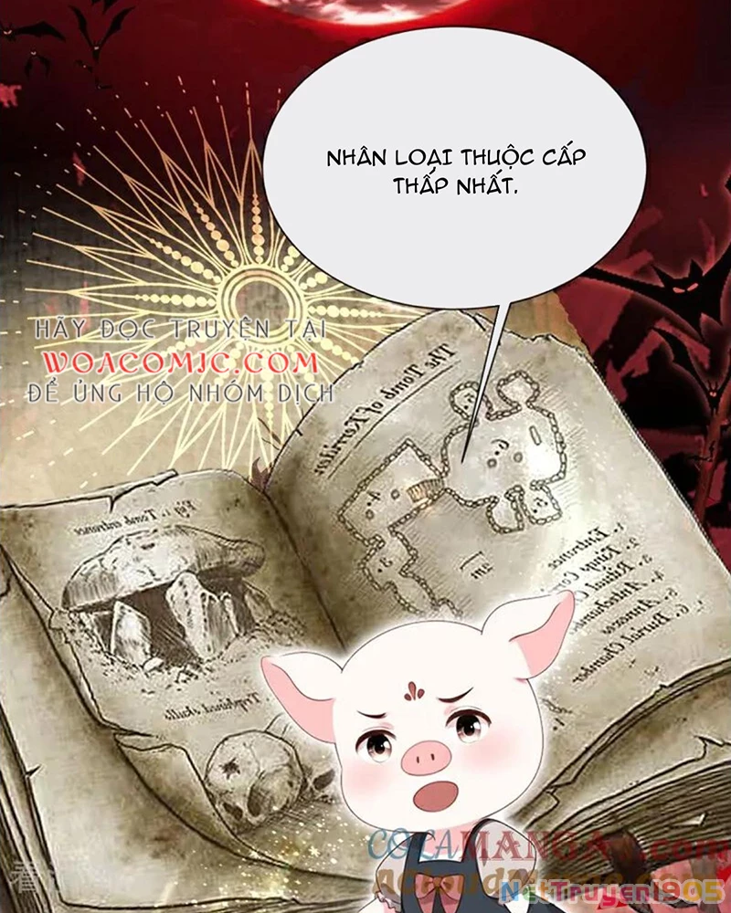 Hệ Thống Xuyên Nhanh: Ác Nam Không Dễ Chọc Chapter 144 - 34