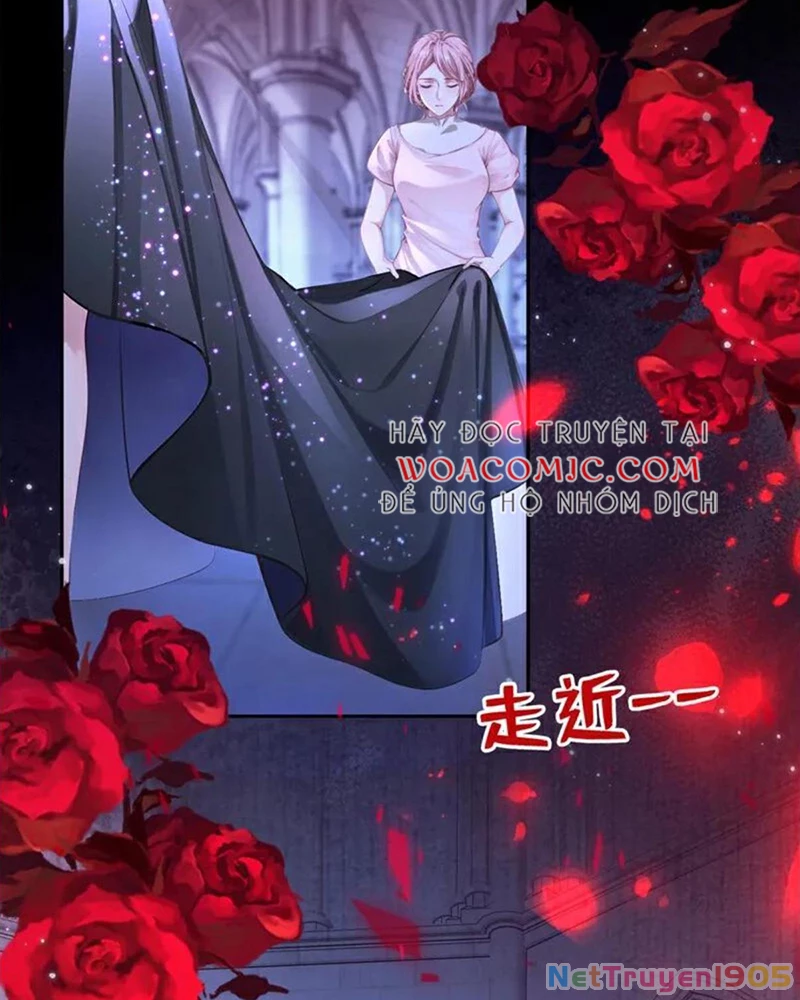 Hệ Thống Xuyên Nhanh: Ác Nam Không Dễ Chọc Chapter 145 - 5