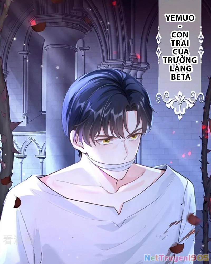 Hệ Thống Xuyên Nhanh: Ác Nam Không Dễ Chọc Chapter 145 - 14