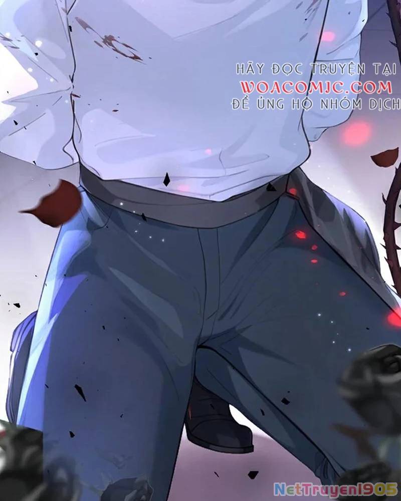 Hệ Thống Xuyên Nhanh: Ác Nam Không Dễ Chọc Chapter 145 - 15