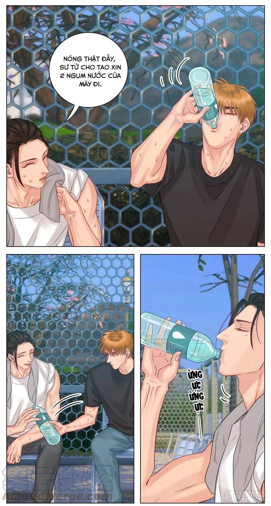 Ký Túc Xá Nam Phòng 303 Chapter 42.1 - 20