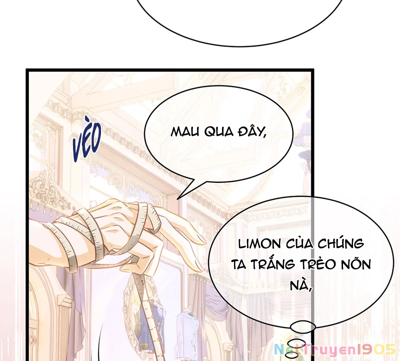 Tôi Trùng Sinh Trở Thành Tiểu Ác Long Của Vương Tử Điện Hạ Chapter 24 - 60