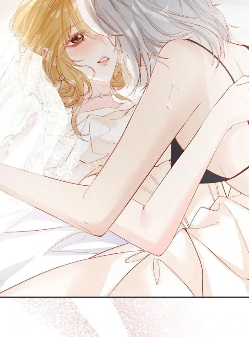 Sói Tiểu Thư Và Em Gái Hồ Ly Của Tôi Chapter 70 - 37