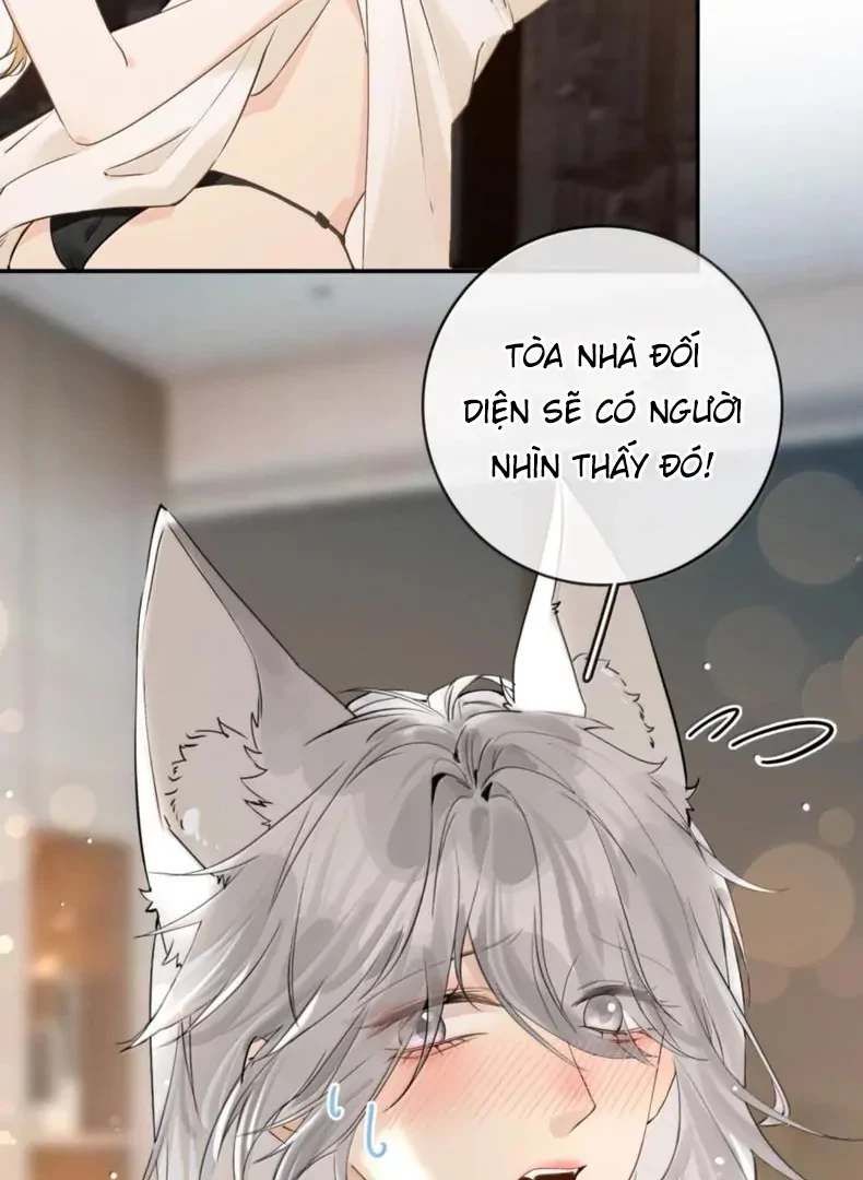 Sói Tiểu Thư Và Em Gái Hồ Ly Của Tôi Chapter 70.5 - 11