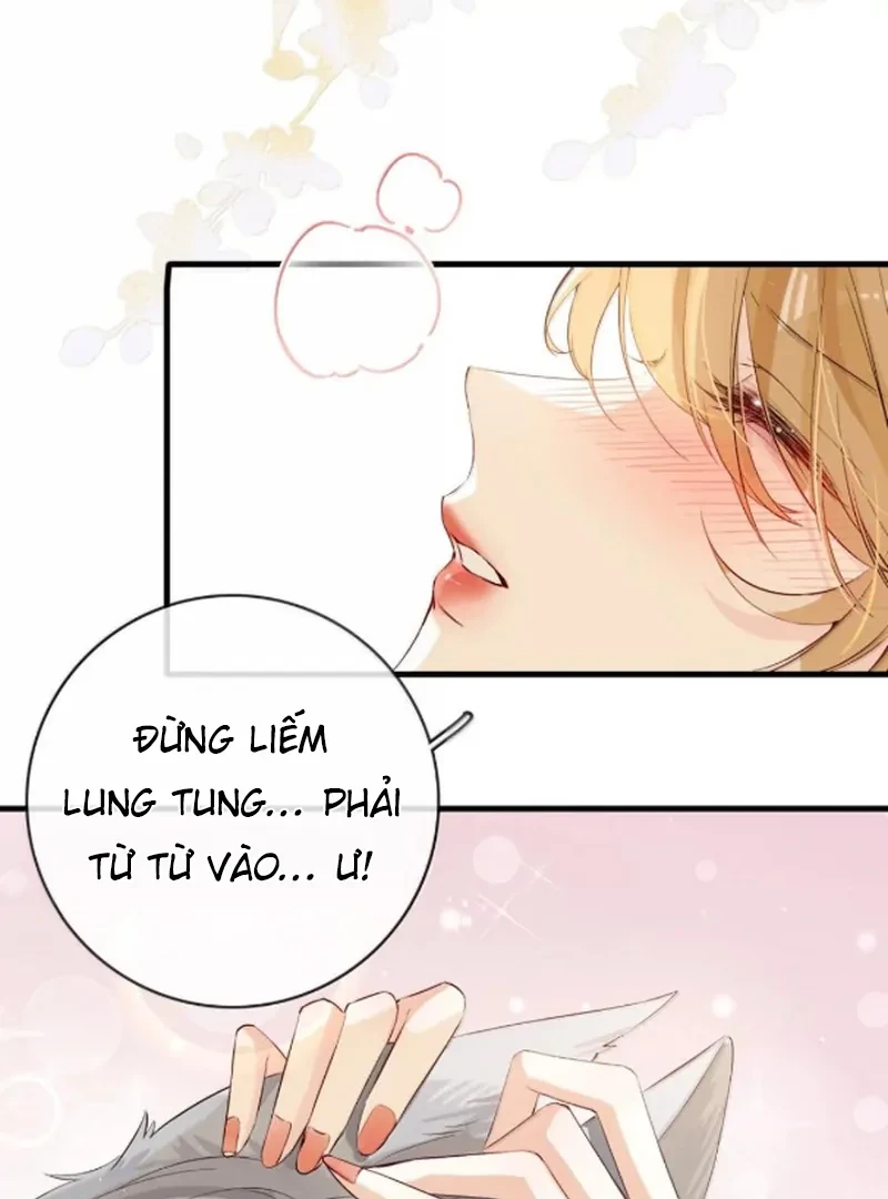 Sói Tiểu Thư Và Em Gái Hồ Ly Của Tôi Chapter 71 - 27
