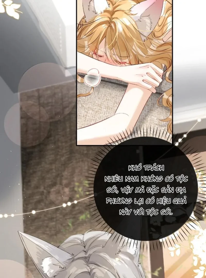 Sói Tiểu Thư Và Em Gái Hồ Ly Của Tôi Chapter 71 - 31