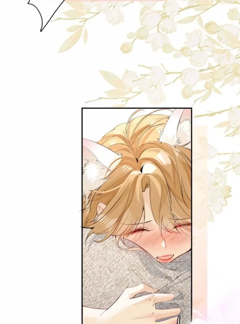 Sói Tiểu Thư Và Em Gái Hồ Ly Của Tôi Chapter 71 - 35
