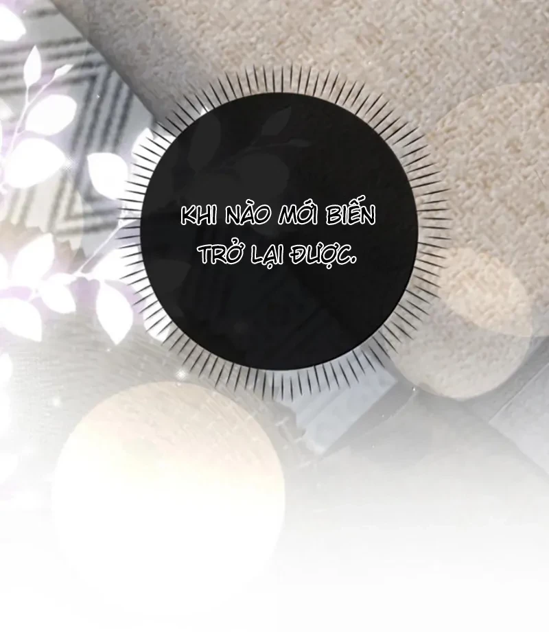 Sói Tiểu Thư Và Em Gái Hồ Ly Của Tôi Chapter 71 - 38