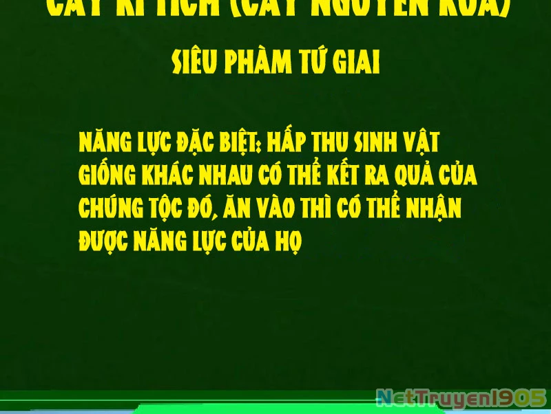 Chuyển Sinh Thành Liễu Đột Biến Chapter 408 - 10