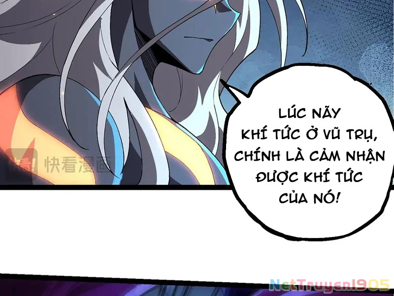 Chuyển Sinh Thành Liễu Đột Biến Chapter 408 - 12