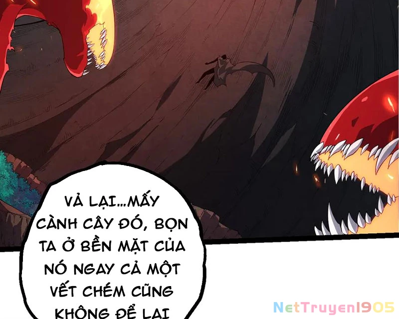 Chuyển Sinh Thành Liễu Đột Biến Chapter 408 - 67