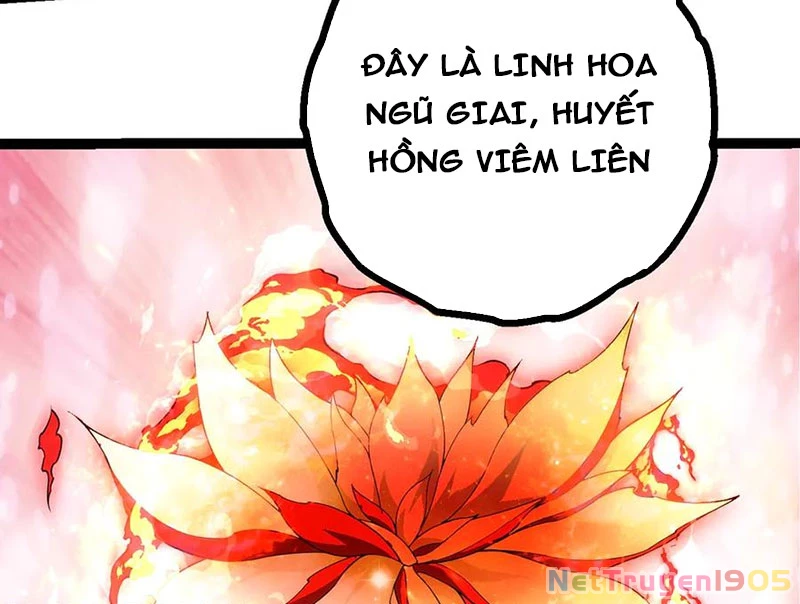 Chuyển Sinh Thành Liễu Đột Biến Chapter 408 - 89