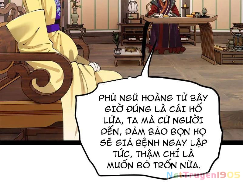Chàng Rể Mạnh Nhất Lịch Sử Chapter 318 - 66