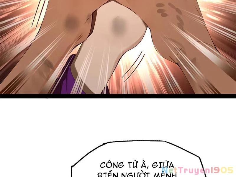 Chàng Rể Mạnh Nhất Lịch Sử Chapter 318 - 94