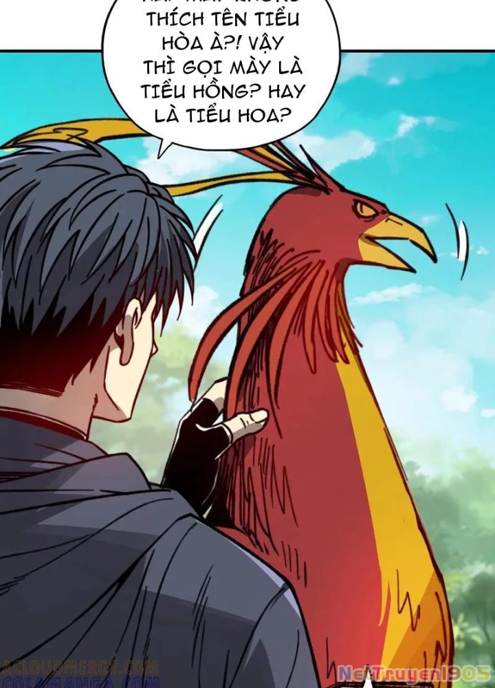 Bắt đầu chuyển chức tài thần, ta chuyển hóa triệu vạn thần sủng Chapter 36 - 55