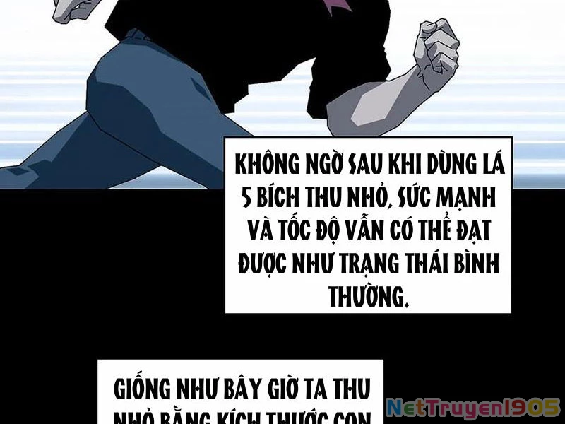 Vương Tạc Chapter 12 - 15