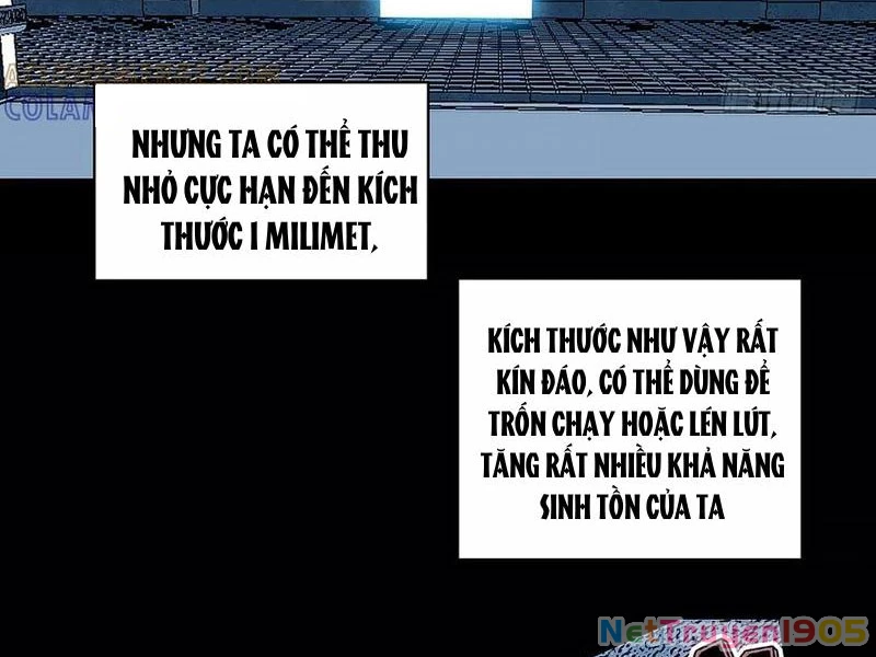 Vương Tạc Chapter 12 - 19