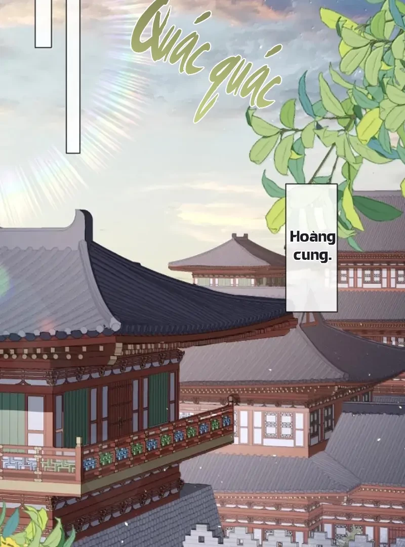 Nuông Chiều Mỹ Nhân Cuồng Nhiệt Chapter 75 - 2