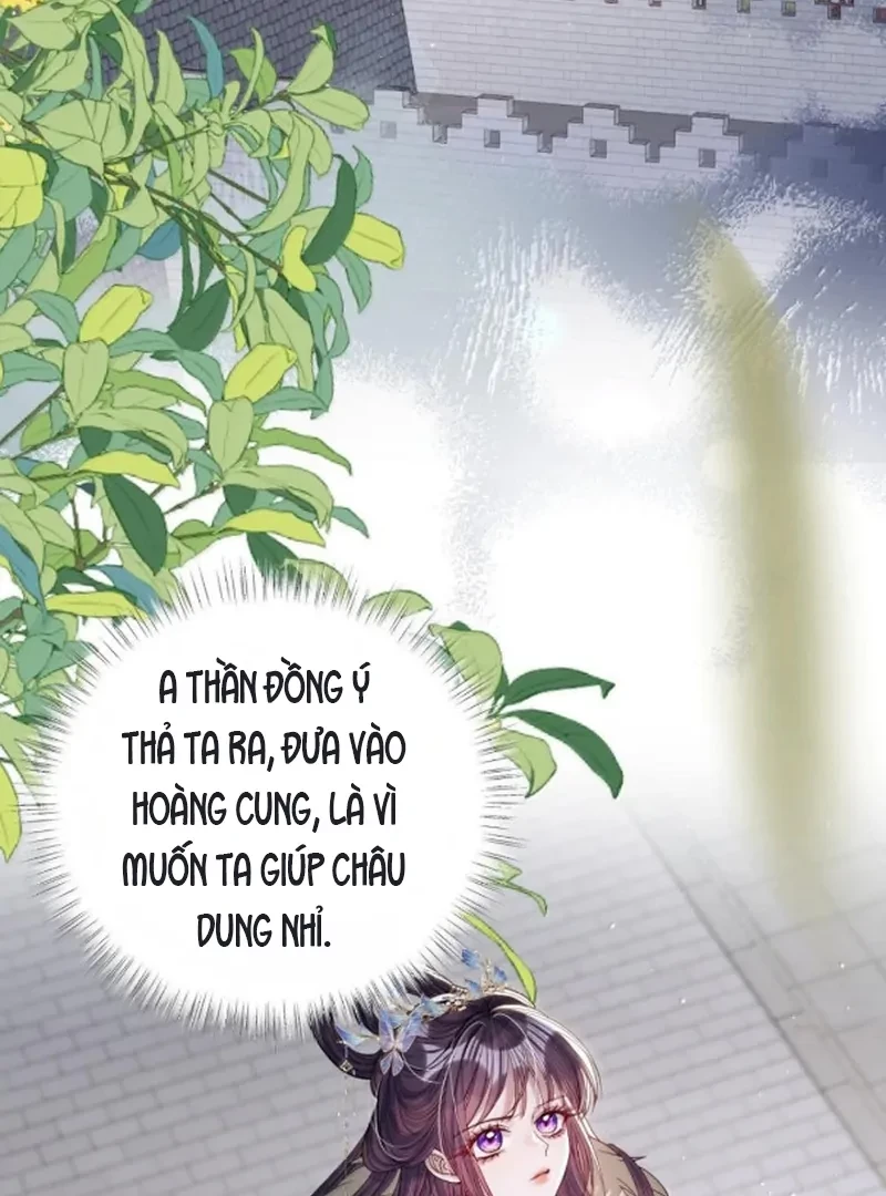 Nuông Chiều Mỹ Nhân Cuồng Nhiệt Chapter 75 - 3